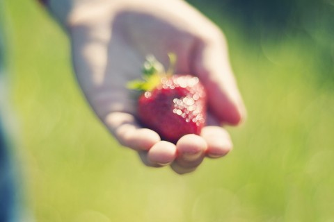 手中的唯美草莓