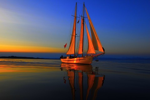 夕阳下航行的帆船