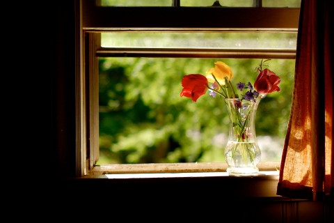 窗台上的唯美插花