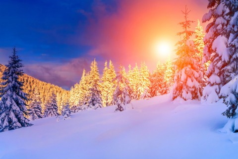 阳光下的雪景