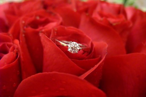 玫瑰花中的戒指
