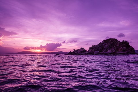 唯美紫色景色