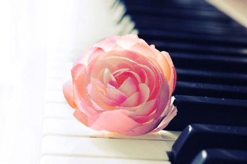 钢琴的优美声音