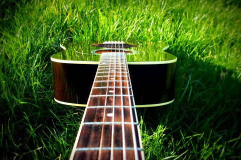 草地上的吉他