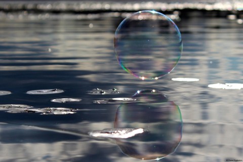 水面上的唯美泡泡