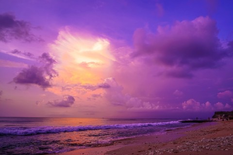 紫色美景