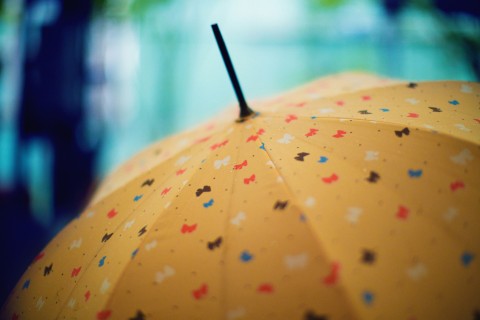 蝴蝶结雨伞
