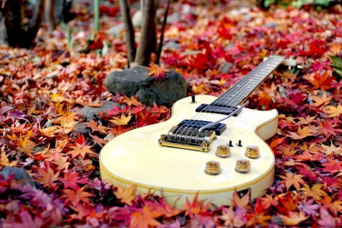 秋天里的孤寂吉他
