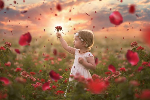 玫瑰花丛中的小女孩
