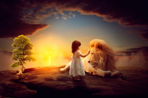 小女孩与狮子