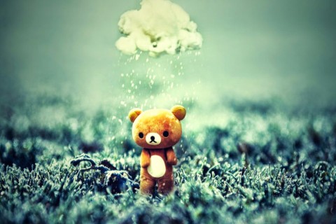 雨中的小熊