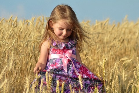 麦穗中的可爱小女孩