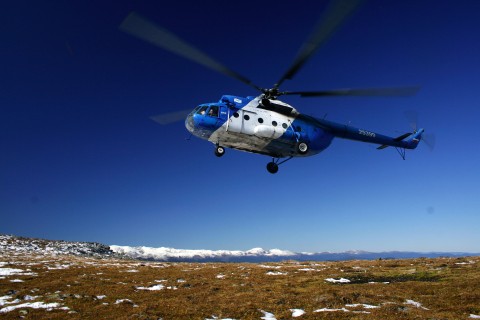 Mi-8运输直升机
