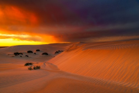 澳大利亚沙漠