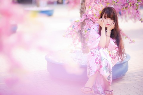 樱花树下的和服少女