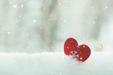 被雪藏的爱