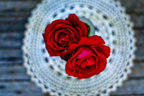 红玫瑰插花