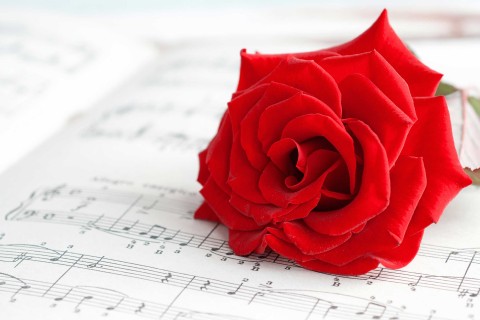 乐谱上的玫瑰花
