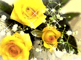 温馨黄玫瑰