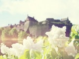 城堡前的小白花