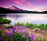 紫色湖面风景