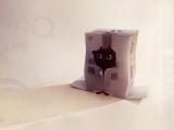 纸盒猫咪