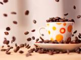 情迷咖啡豆