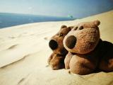 沙滩上的玩具熊