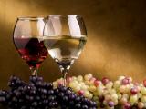 葡萄与美酒