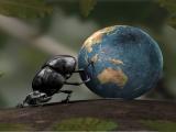 甲虫与地球