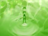 绿色小水滴