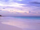 紫色的海滩