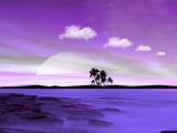 紫色仙境