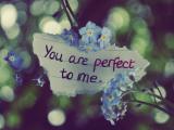 你是我的完美