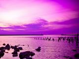 唯美的紫色湖泊
