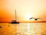 夕阳下的帆船与海鸟