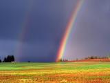 草原上的美丽彩虹