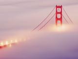 迷雾中的金门大桥