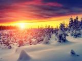 阳光中的雪景