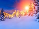 阳光下的雪景