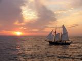 夕阳下的白色帆船