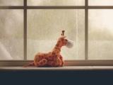 窗台上的长颈鹿公仔