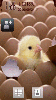 新生的小鸡