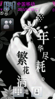 年华尽耗繁花满地