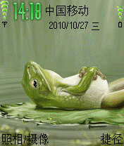 青蛙放松