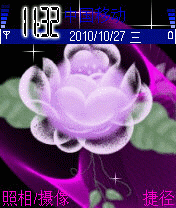 出淤泥而不染莲花之美