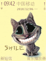 微笑的猫
