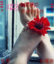 花样的青春年华