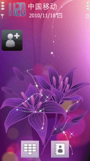 高贵的紫色百合