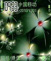 缤纷闪耀的绚烂夏花